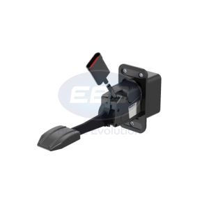 THROTTLE PEDAL & SENSOR ( 9651000010 )