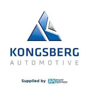 CAS - REPAIR KIT (RENAULT)